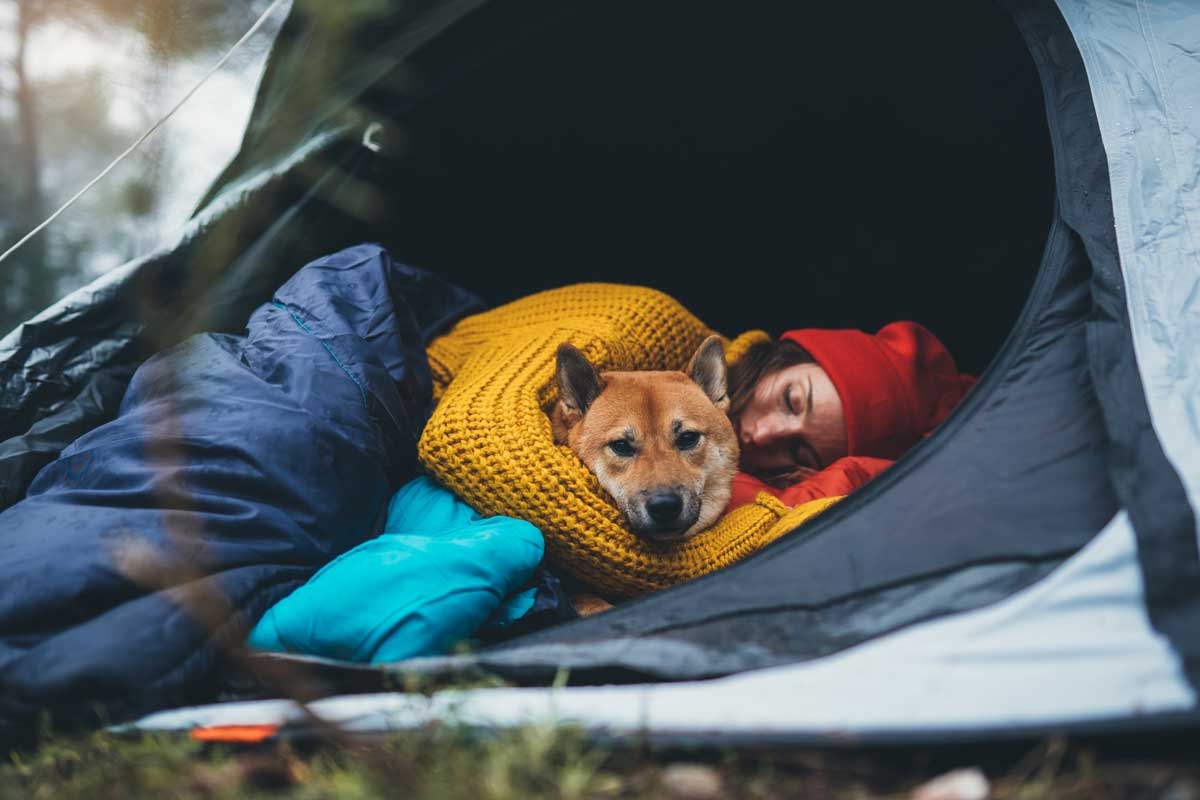 Girl hugging and resting with her dog, a red Shiba Inu, at a forest campsite in Kirrawee